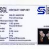 SJ-2038 Pair of Earrings