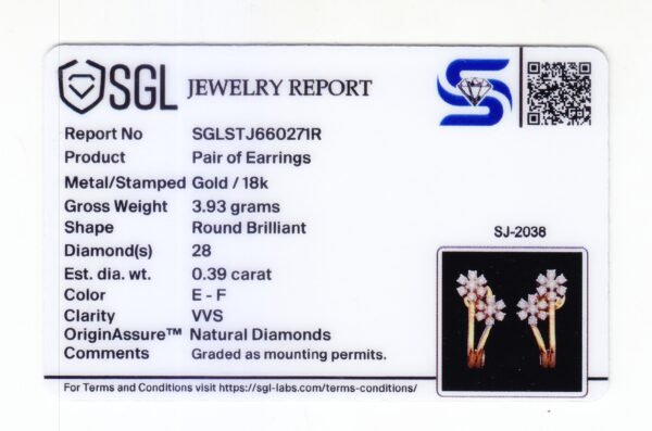 SJ-2038 Pair of Earrings