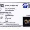 SJ-2040 Pair of Earrings