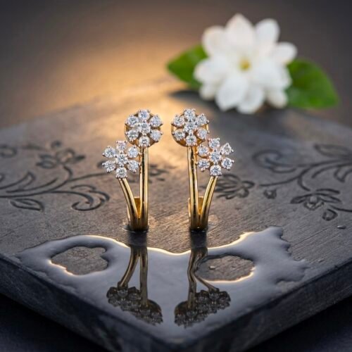 Pair of Earrings